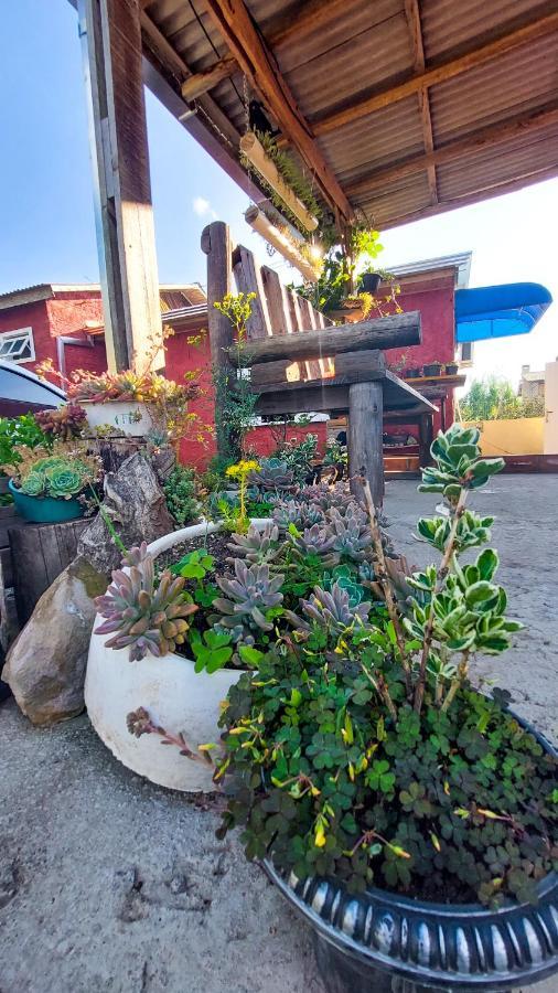 Hostel Cape Town - Cambará Exteriör bild