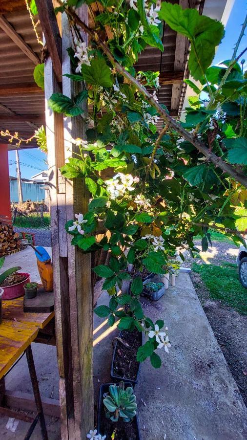 Hostel Cape Town - Cambará Exteriör bild