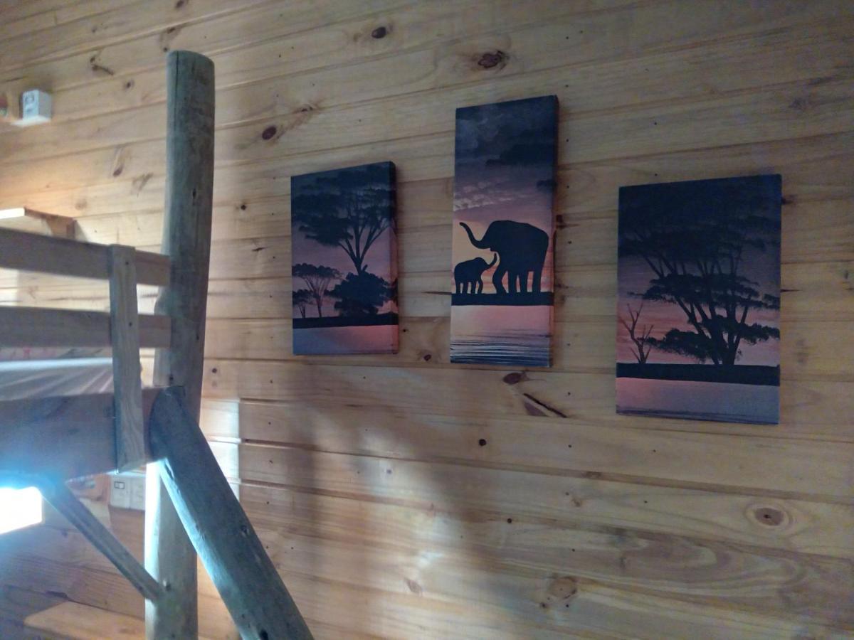 Hostel Cape Town - Cambará Exteriör bild